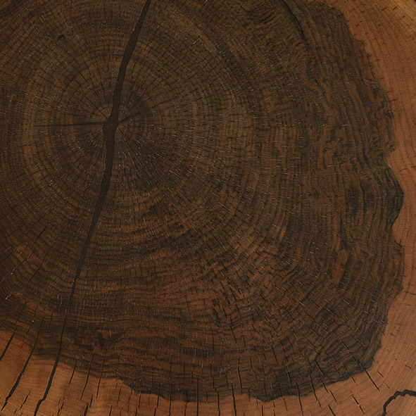 MDF Veneered in log section of walnut