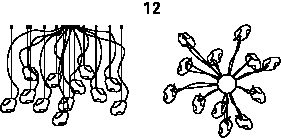 CLOUD - ø31x3h - 12