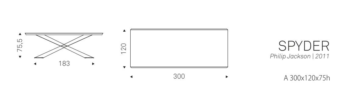 SPYDER - A 300x120x75h